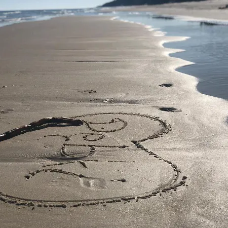 White Wave Norda דאובקי